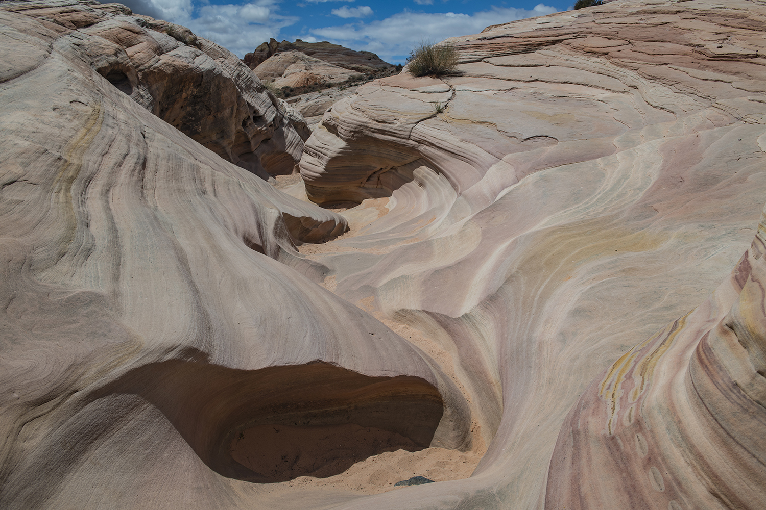 Pink Canyon BP Valley of Fire DSC_4288