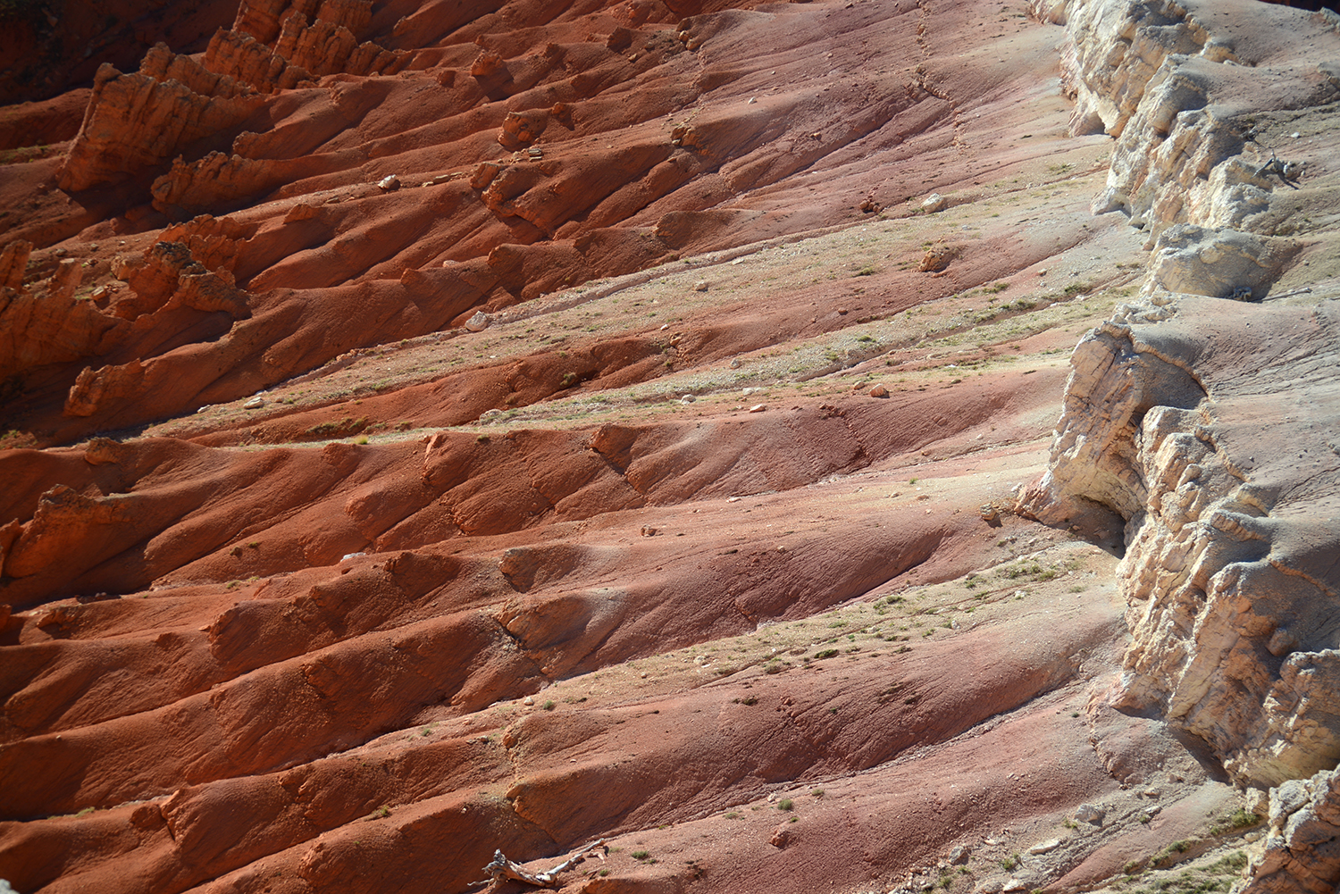 Cedar Breaks NM