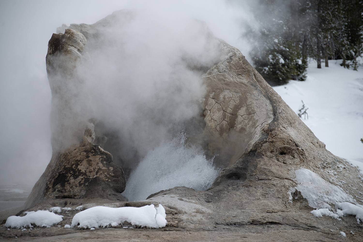 MW Yellowstone DSC_3445